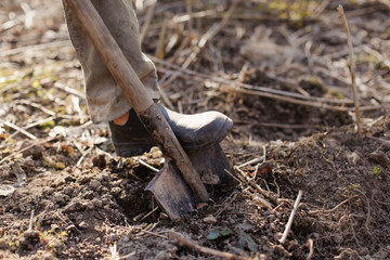 Caucasian man with shovel digs ground in garden