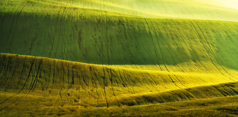 hilly field. abstract rural landscape. spring theme wallpapers