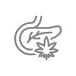 © Lifeking - Human pancreas with marijuana leaf line icon. Cannabis treatment, anesthesia symbol