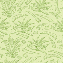 Hand Drawn Aloe Vera Plant Leaves Seamless Pattern. Medicinal Plants Green Background. Vector Illustration
