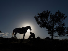Silhouette Cowboy Riding Horse On Field Against Sky