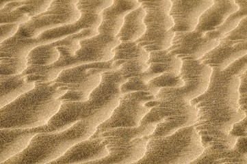 Wall Mural - sand texture, photo picture digital image