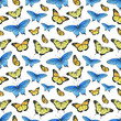 Watercolor seamless pattern with hand painted watercolor butterflies in bright colors. Romantic floral background perfect for wedding invitation, paper or scrap booking. 