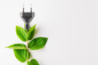 © Olesia - Renewable energy, sustainability, ecology concept. Power plug with green leaves over white background.