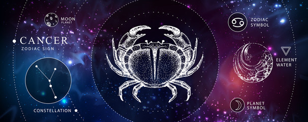 Wall Mural - modern magic witchcraft card with astrology cancer zodiac sign. realistic hand drawing crab illustra