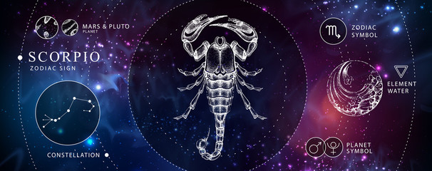 Wall Mural - Modern magic witchcraft card with astrology Scorpio zodiac sign. Realistic hand drawing scorpion illustration. Zodiac characteristic