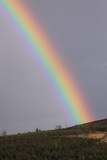 Fototapeta Tęcza - Rainbow in Ireland countryside