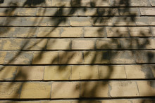 Apparent Brick Exterior Wall With Shadows Of Leafy Tree Branches On It