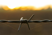 Close-up Of Spider Web On Barbed Wire During Sunset