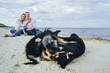 © Daria - Beautiful, attractive couple sitting on the sand by the sea, huging, kissing, petting dogs and laughing. In the foreground there are funny, shaggy dogs running, bitting each other and bothering.