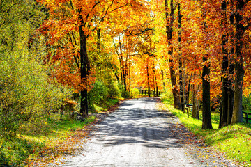 entrance street gravel dirt road during orange red autumn in rural countryside in northern virginia 