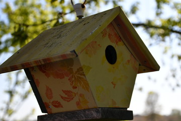 Wall Mural - Yellow Birdhouse