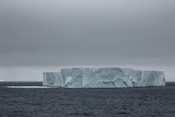 Wall Mural - iceberg in antarctica