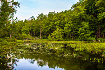 Wall Mural - Hudson River Upstate New York Adirondacks Catskills