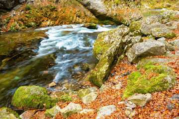 mountain water flowing over the rocks in the autumn forest