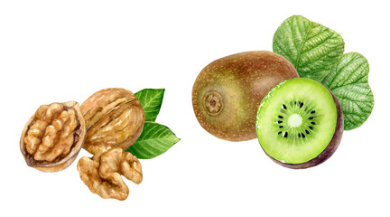 Wall Mural - Kiwi fruit walnut set watercolor isolated on white background