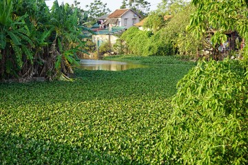 Canvas Print - lovely exotic landscape in hue