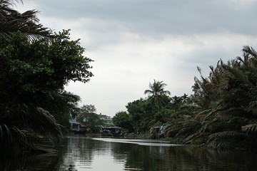 Poster - rural landscape at song hau river in vietnam