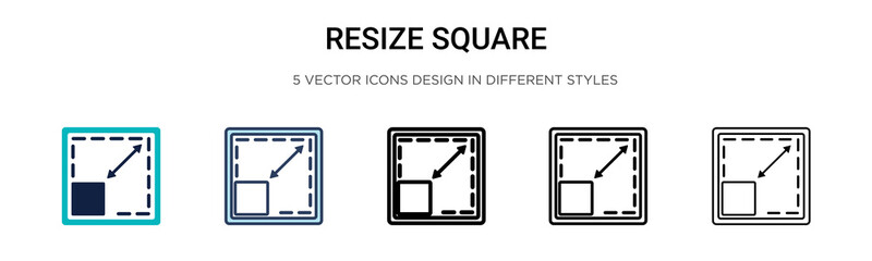 resize square icon in filled, thin line, outline and stroke style. vector illustration of two colore