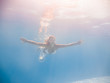 © Netfalls - Woman underwater at the pool