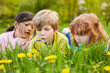 © Robert Kneschke - Boy and two girls discover nature