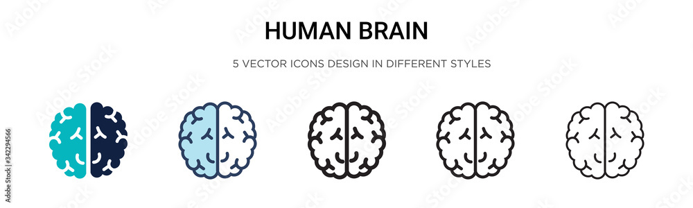 Human brain icon in filled, thin line, outline and stroke style. Vector ...