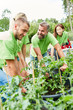Team Gärtner oder Umweltschützer mit Pflanzen