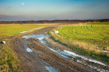 Muddy Road Through Green Fields, Last Snow, Horizon And Moon On The Sky