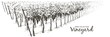 Vector Vine plantation hills landscape. Drawing of rows of vineyards with wine stains. line sketch illustration