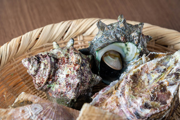 Poster - fresh sazae, japanese turban shell fish