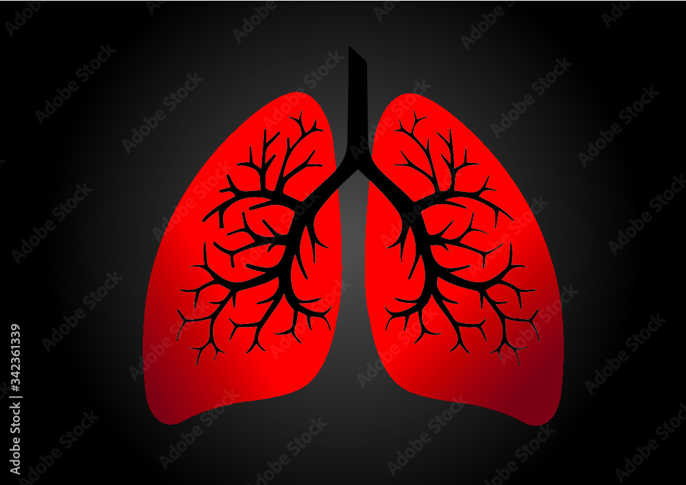 Comparison between healthy lung and cancer lung isolated on white ...