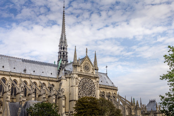 Wall Mural - Notre Dame Cathedral, Paris, France