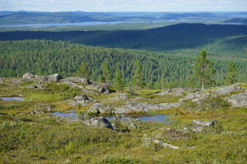 Landscape in Lapland Finland, lakes, trees and forest. 