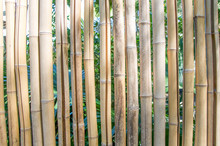 Full Frame Shot Of Bamboo Fence
