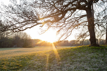 empty park at sunset with two people walking next to each other