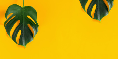 Wall Mural - Summer concept. Green leaves Monstera on yellow  background. Flat lay, top view, copy space
