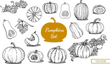 Doodle Pumpkins. Vector Pumpkins Set. Hand Drawing Stock Illustration