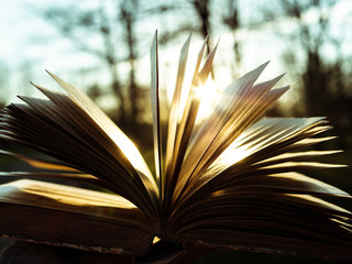 The pages of the book shine in the rays of the sunset