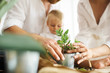 © jul14ka - Happy family working at home. Transplanting plants with their child