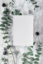 Christmas Frame With Fresh Eucalyptus Twigs And White Black Trinkets, Baubles With Stars. Flat Lay, Top View On White Marble Background, Blank Paper Page With Copy-space.