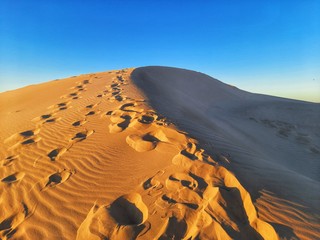 Wall Mural - sand dune in desert of Algeria