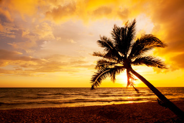 DREAM BEACH WITH PALM TREES ON THE WHITE SAND, SUN LOUNGERS, TURQUOISE OCEAN AND BEAUTIFUL CLOUDS IN THE SKY. PHU QUOC ISLAND, VIETNAM