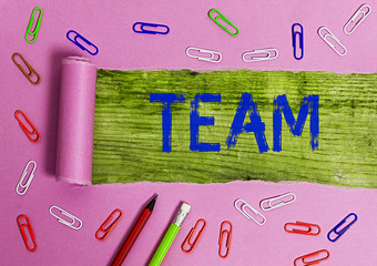 Poster - Conceptual hand writing showing Team. Concept meaning Group of showing working together Classed and share certain beliefs