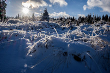 Scenic View Of Frozen Landscape Against Sky