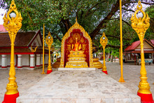 Buddha Statue In Thailand Templd