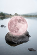 Digital composte of surreal pink Super Moon sitting on top of a rock on a calm lake surface giing a fantasy type or syle look to the image