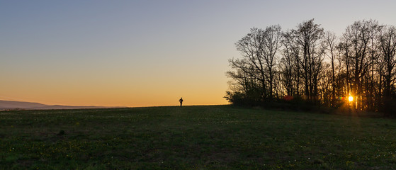 Caucasian man from back running on meadow hill with trees at sunset. Czech landscape