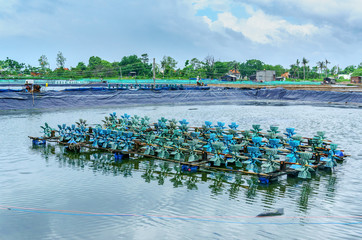 Aerial view of the prawn farm with aerator pump in front of Ba Ria Vung Tau, Vietnam. The growing aquaculture business continuously threatening the nearby wetlands.