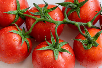 Healthy food ingredient - raw tomatoes on white background, vibrant colours, vitamin food, space for text