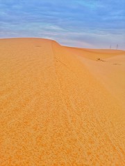 Poster - sand dune in desert of Algeria